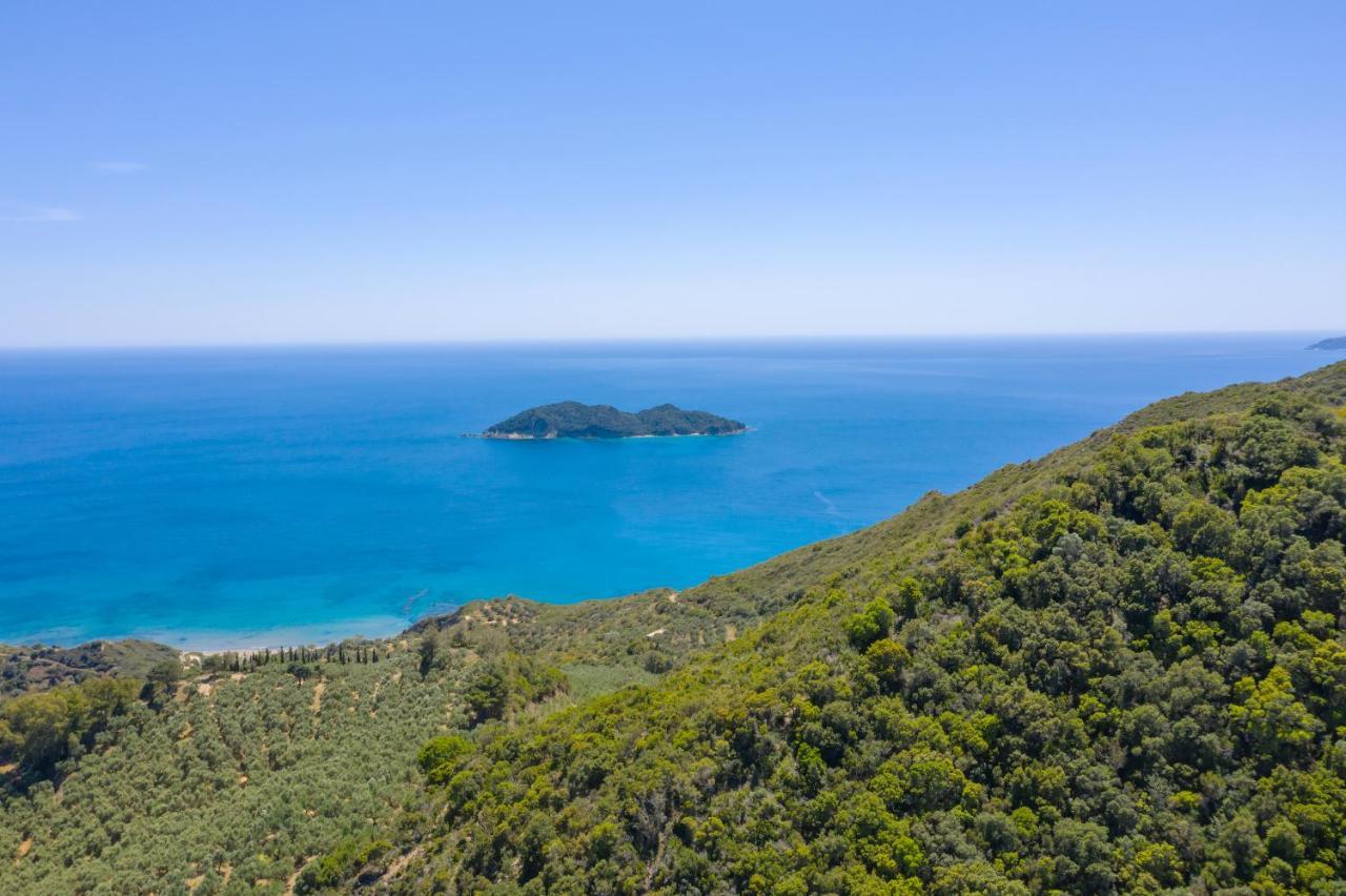 Hébergement de vacances Dafni Vasilikí